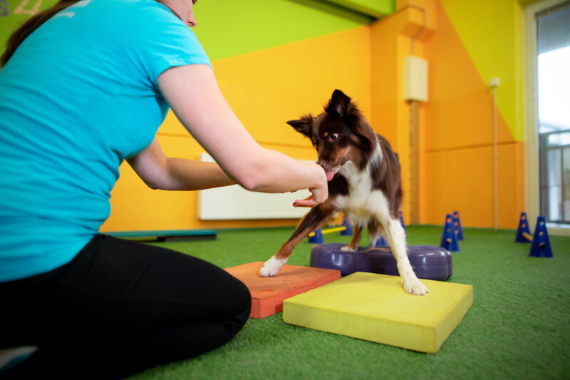 D4M - FOAF - Agility-ADIC-Exercise