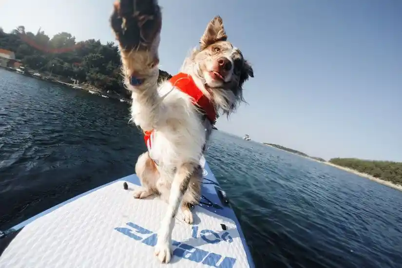 CTT-SA-Lifestyle-Water-SUP